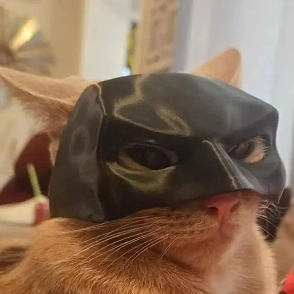 Cat Bat Mask