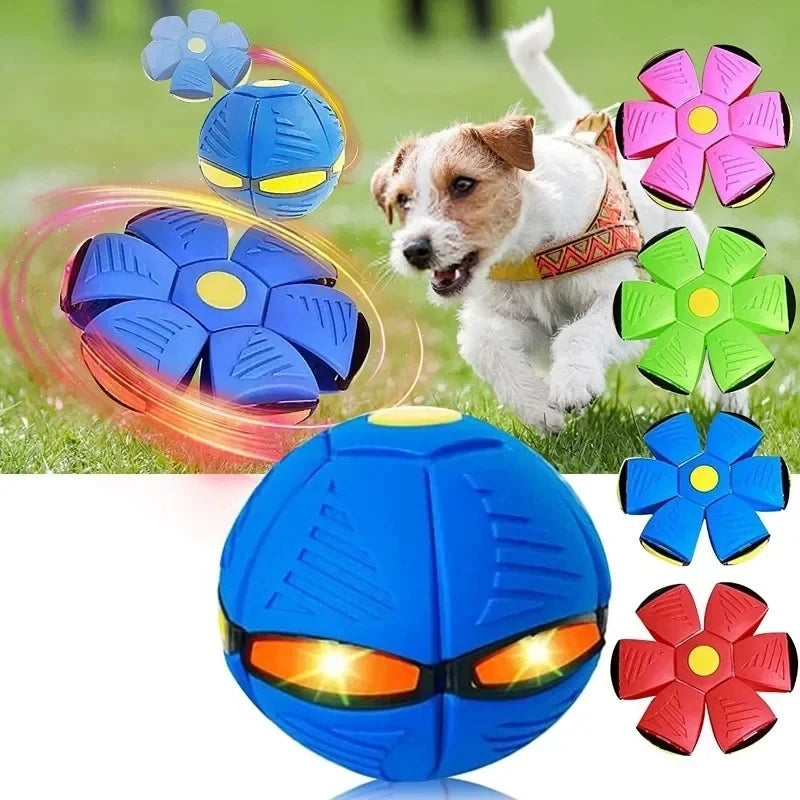 Flying Disc Interactive Saucer Ball Dog Toy