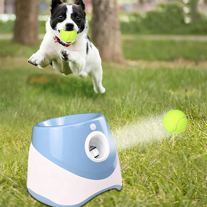 Dog Mini Tennis Launcher Automatic Chase Toy