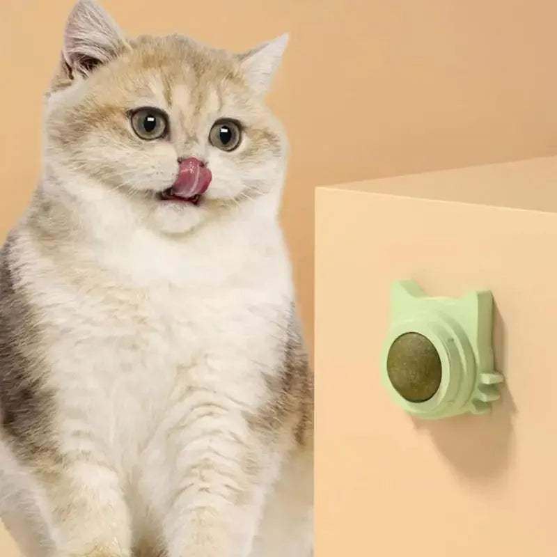 Lickable Ball Cat Snack