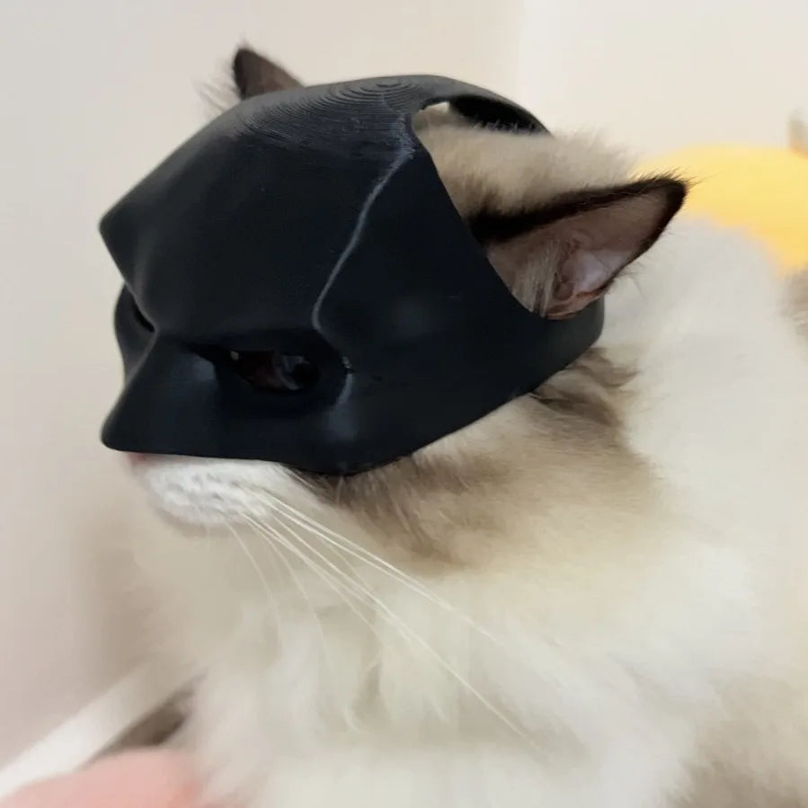 Cat Bat Mask