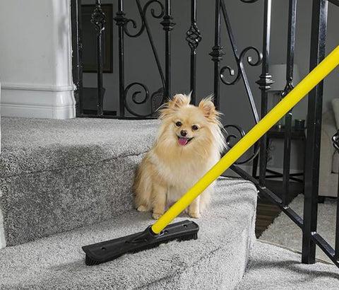 Broom Pet Hair Remover